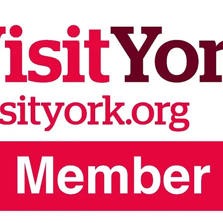 Holicarrs - Gingerlily * Riccall