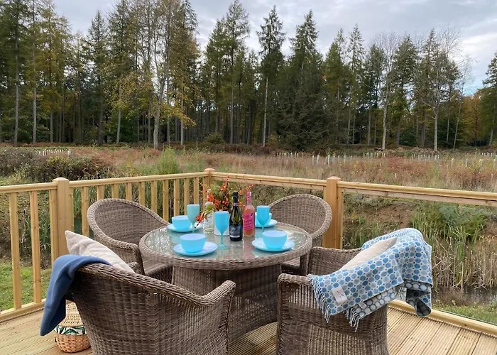 Holicarrs - Gingerlily Riccall