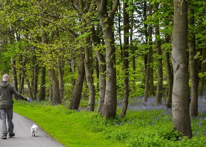 Holicarrs - Gingerlily Lodge Riccall