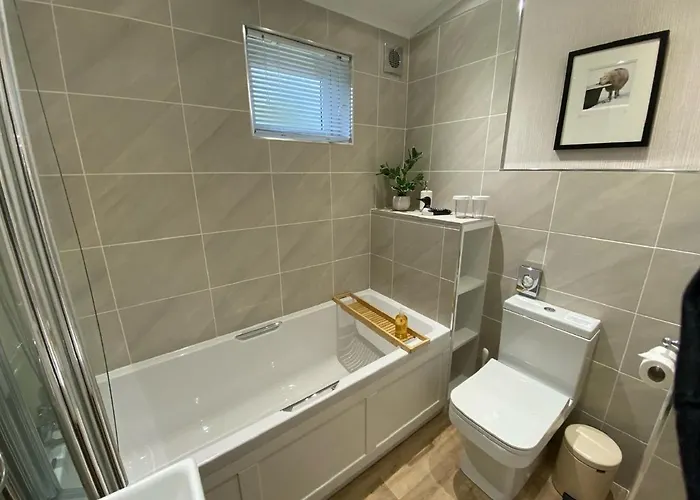 Holicarrs - Gingerlily