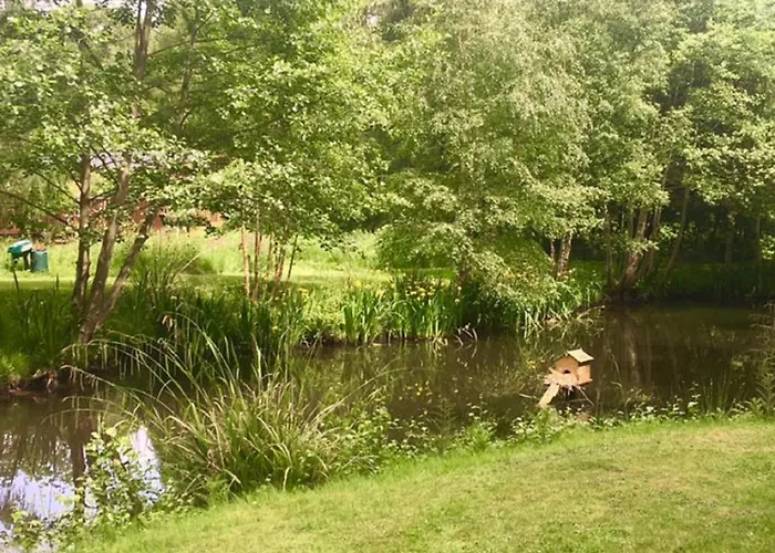 Holicarrs - Gingerlily