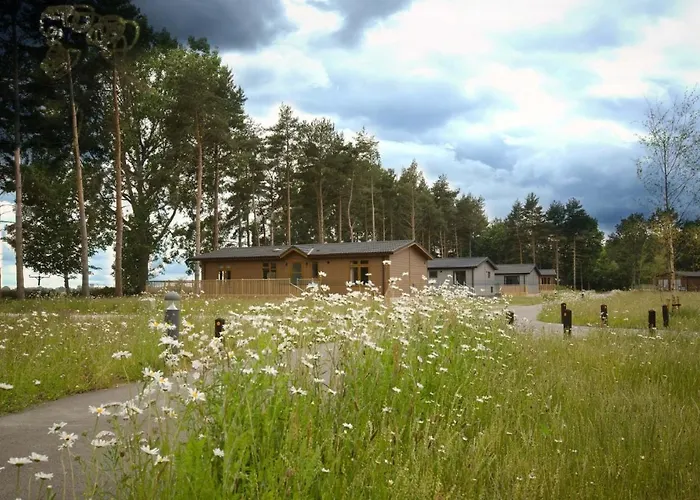 Lodge Holicarrs - Gingerlily Riccall