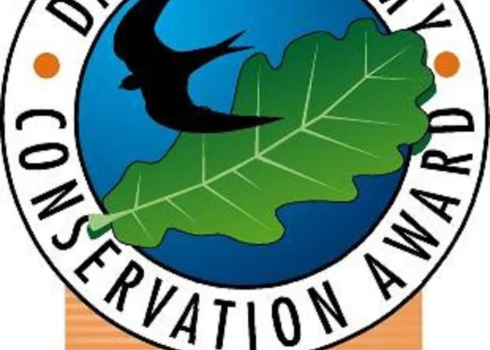 Holicarrs - Gingerlily *