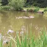 Lodge Hollicarrs - Gingerlily *