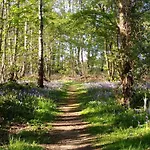 Lodge Hollicarrs - Gingerlily Riccall