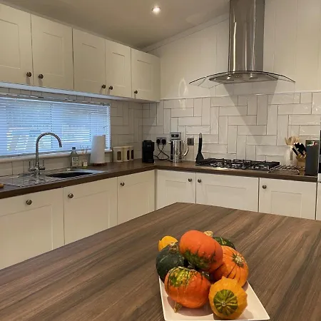 Holicarrs - Gingerlily