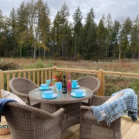 Holicarrs - Gingerlily Riccall