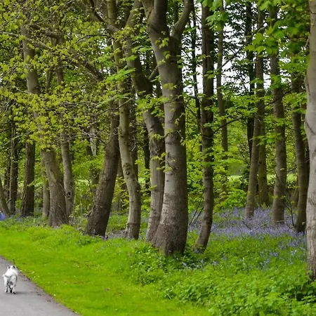 Holicarrs - Gingerlily Jaktstuga Riccall