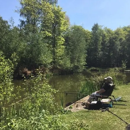 Holicarrs - Gingerlily * Riccall