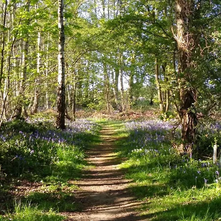 Lodge Holicarrs - Gingerlily Riccall