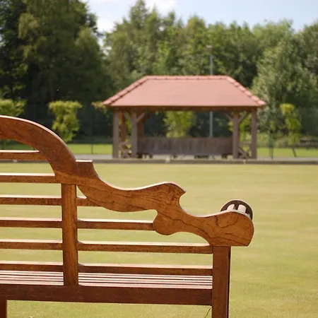 Holicarrs - Gingerlily * Riccall