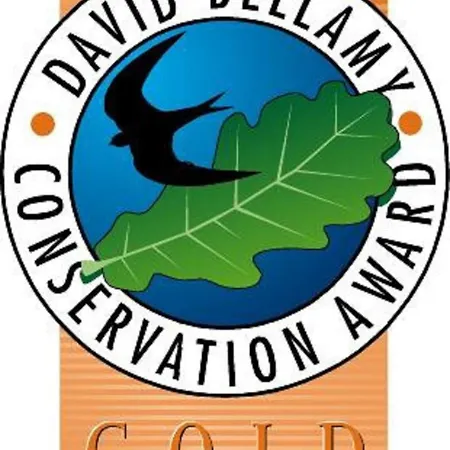 Holicarrs - Gingerlily *