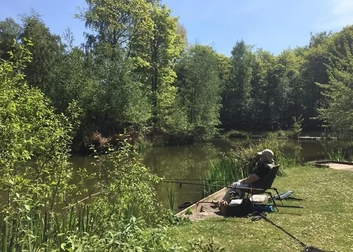 Hollicarrs - Gingerlily * Riccall