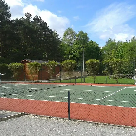 Holicarrs - Gingerlily 롯지 *