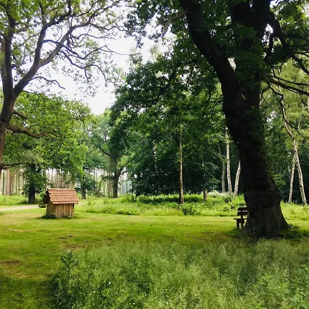 Holicarrs - Gingerlily 롯지 *